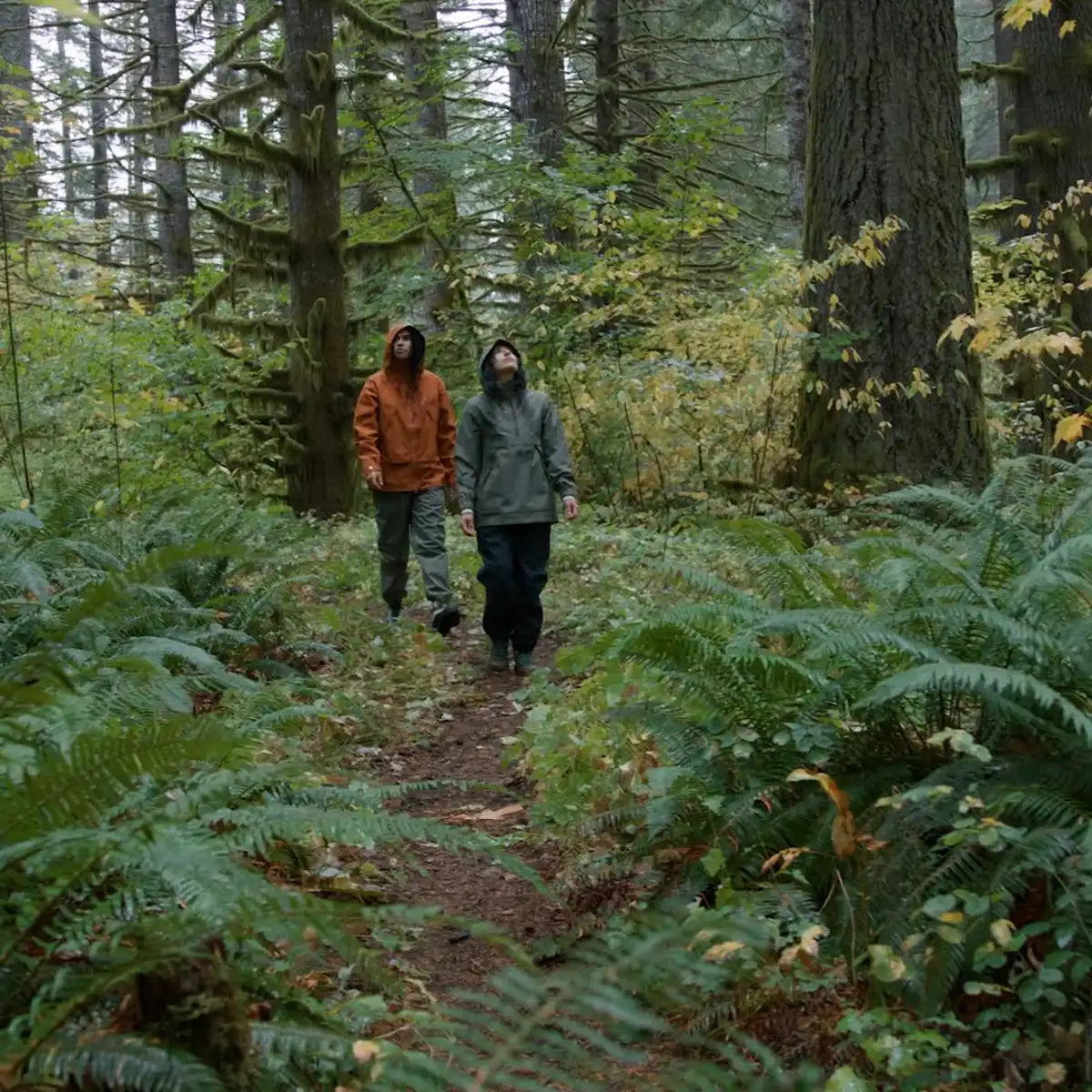 Cascade Crest Packable 3L GTX Rain Pants Dusty Olive