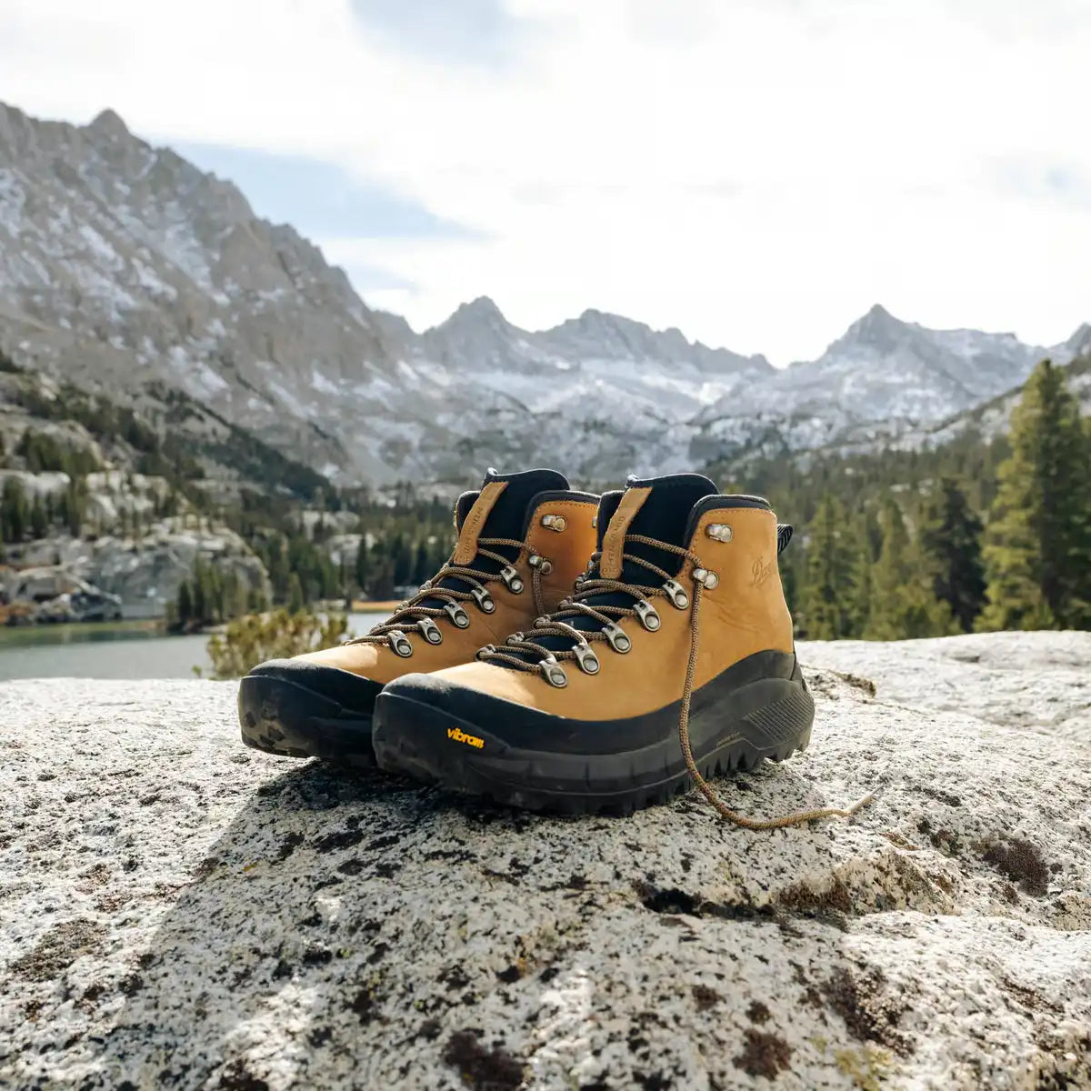 Men's MTN45 Mid GTX Bone Brown
