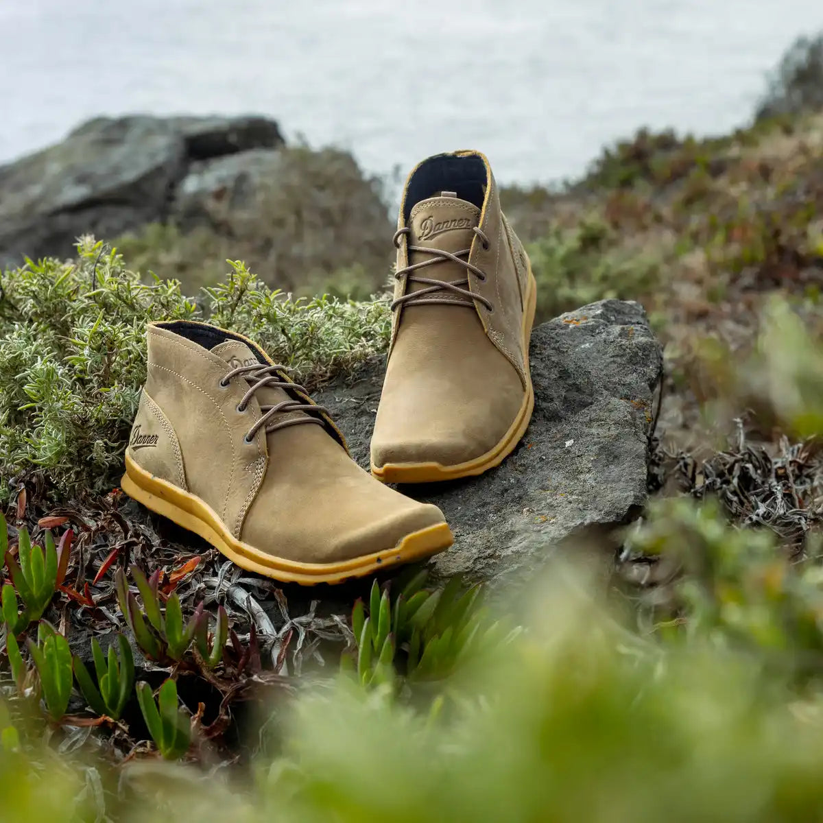 Forest Chukka Timberwolf